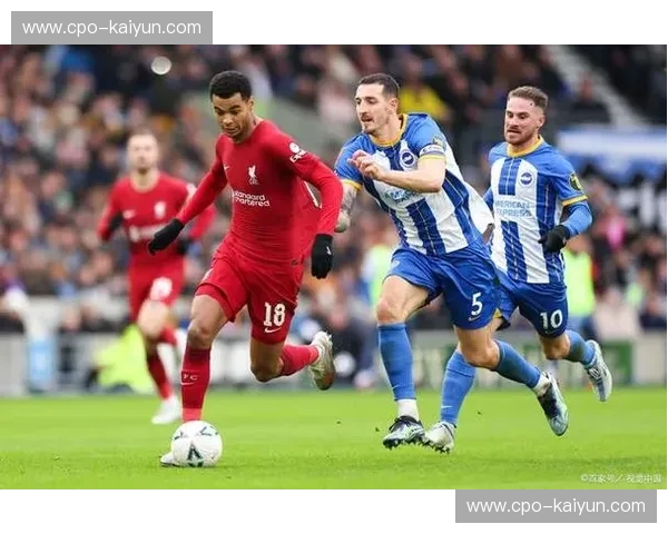 绿茵场上的速度与激情：雷丁与哈德斯菲尔德的荣耀对决